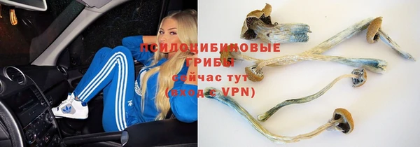 кокаин премиум Лабытнанги