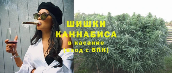 молекула духа Лагань