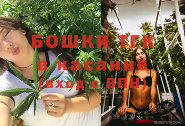 молекула духа Лагань